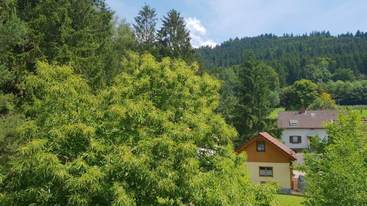 Silberkoenig Schwarzwald Hotel & Restaurant Ringhotel Gutach im Breisgau Exterior foto